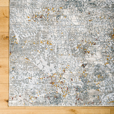 Surya Dresden DRE-2314 Gray Area Rug by LIVABLISS