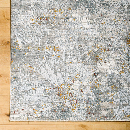 Surya Dresden DRE-2314 Gray Area Rug by LIVABLISS