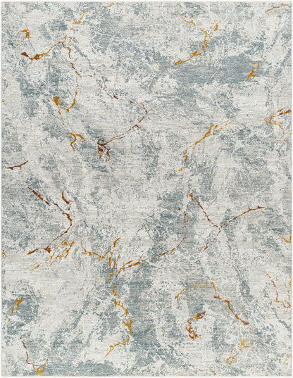 Surya Dresden DRE-2318 Medium Gray Area Rug by LIVABLISS