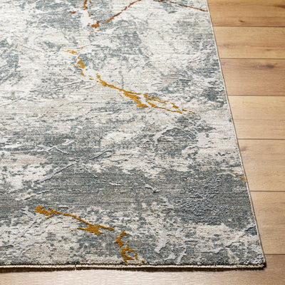Surya Dresden DRE-2318 Medium Gray Area Rug by LIVABLISS
