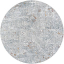 Surya Dresden DRE-2319 Medium Gray Area Rug by LIVABLISS