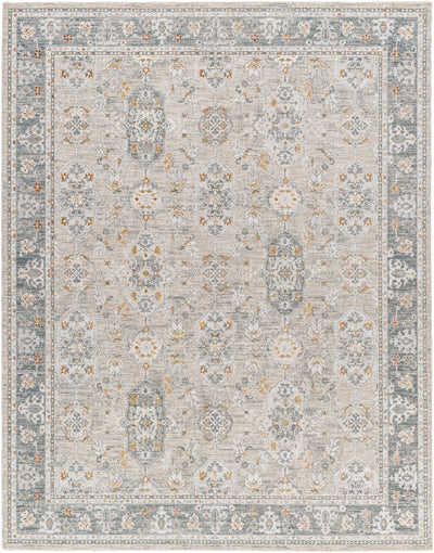 Surya Dresden DRE-2325 Medium Gray Area Rug by LIVABLISS