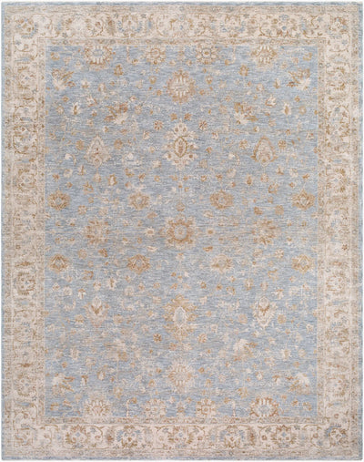 LIVABLISS Da Vinci DVC-2307 Sage Area Rug
