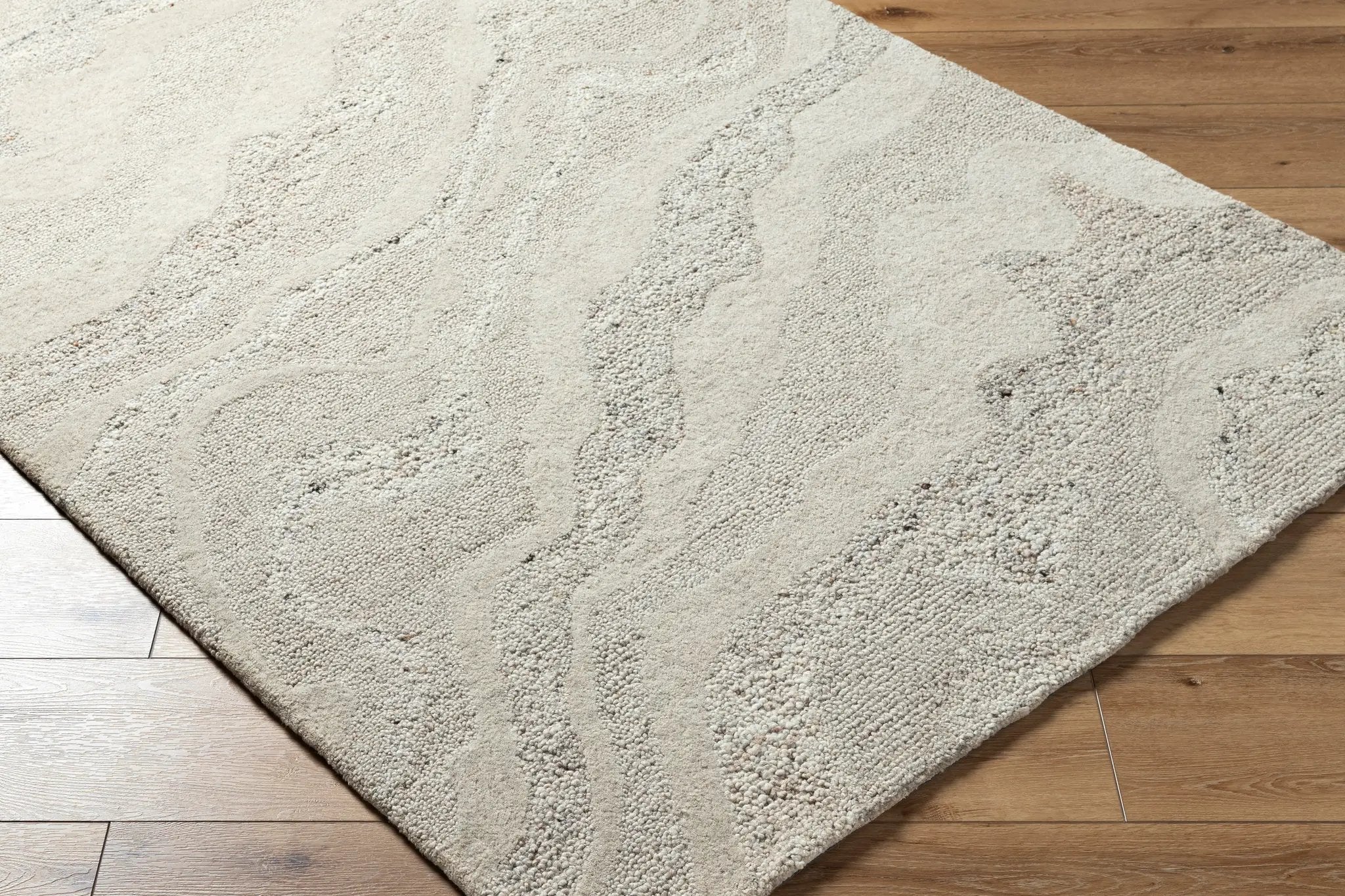 Divine DVN-2303 Ivory Area Rug by LIVABLISS