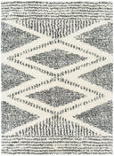 Surya Deluxe Shag DXS-2309 Black Area Rug by LIVABLISS