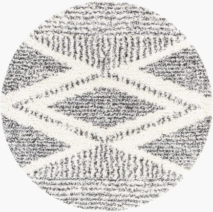 Surya Deluxe Shag DXS-2309 Black Area Rug by LIVABLISS