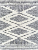 Surya Deluxe Shag DXS-2309 Black Area Rug by LIVABLISS