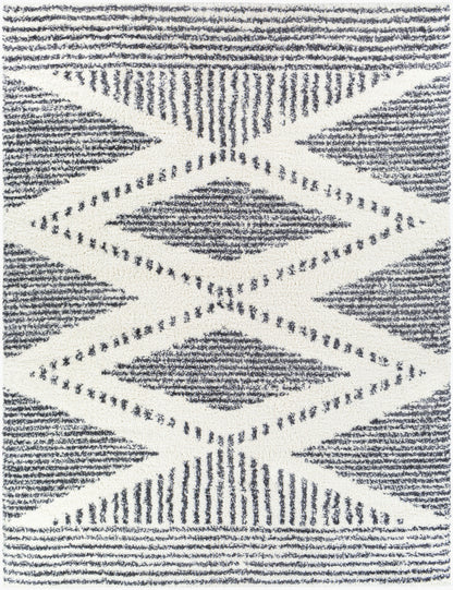 Surya Deluxe Shag DXS-2309 Black Area Rug by LIVABLISS