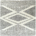 Surya Deluxe Shag DXS-2309 Black Area Rug by LIVABLISS