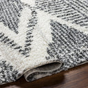 Surya Deluxe Shag DXS-2309 Black Area Rug by LIVABLISS