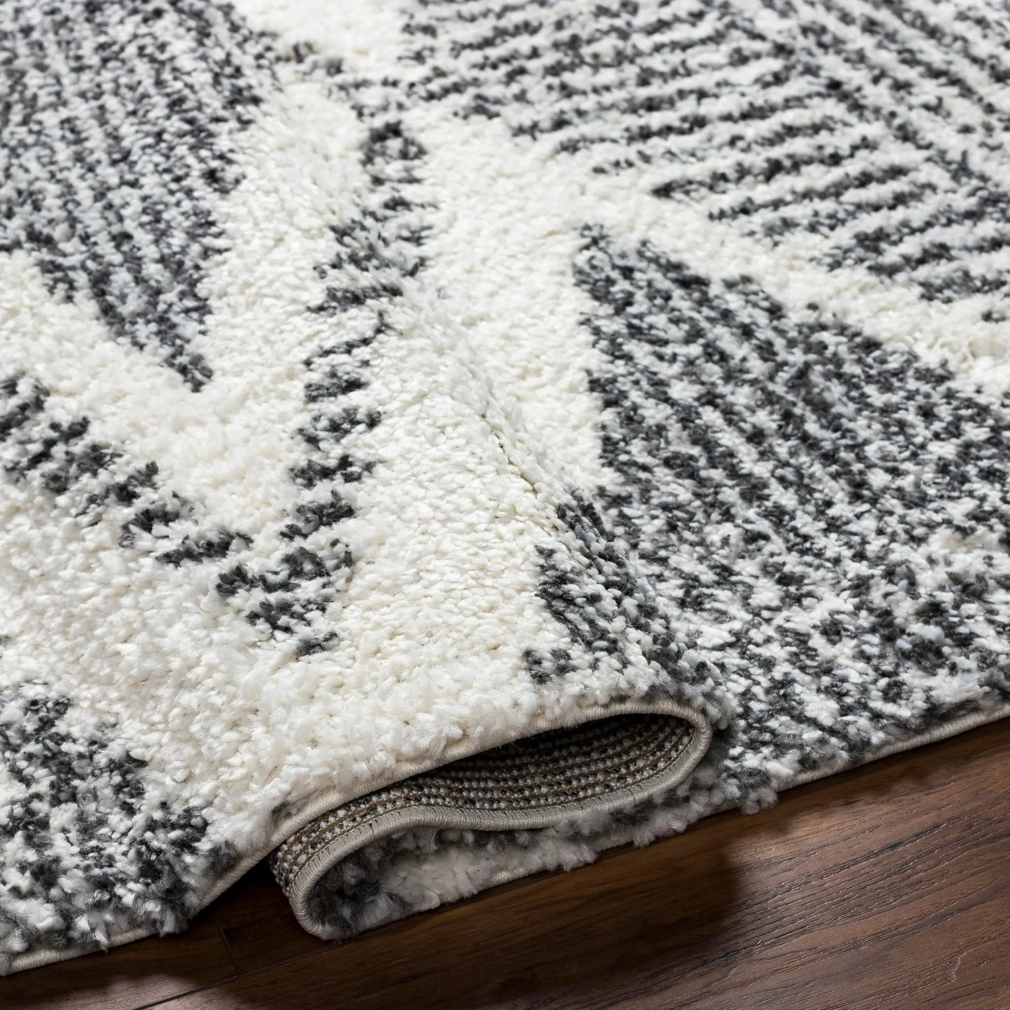 Deluxe Shag DXS-2309 Black Area Rug by LIVABLISS