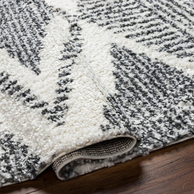 Surya Deluxe Shag DXS-2309 Black Area Rug by LIVABLISS