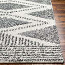 Surya Deluxe Shag DXS-2309 Black Area Rug by LIVABLISS