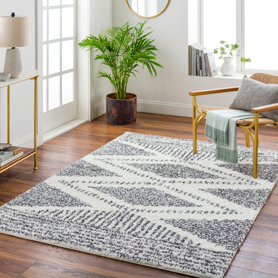 Surya Deluxe Shag DXS-2309 Black Area Rug by LIVABLISS