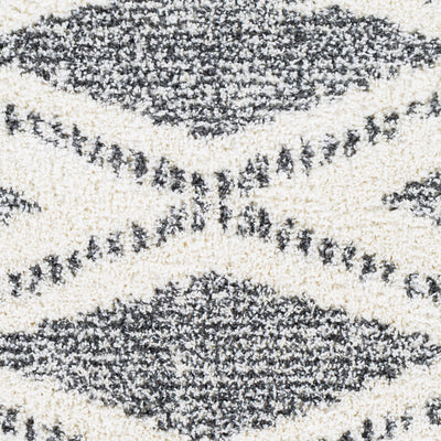 Surya Deluxe Shag DXS-2309 Black Area Rug by LIVABLISS