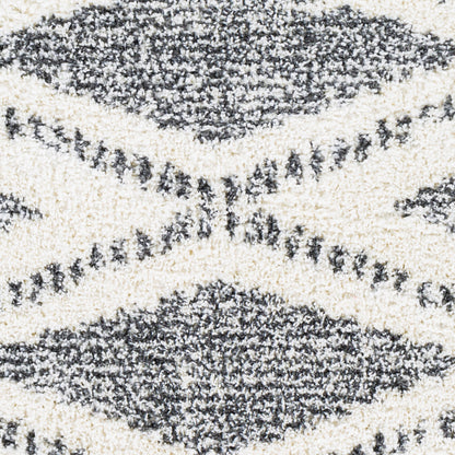 Surya Deluxe Shag DXS-2309 Black Area Rug by LIVABLISS