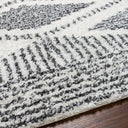 Surya Deluxe Shag DXS-2309 Black Area Rug by LIVABLISS