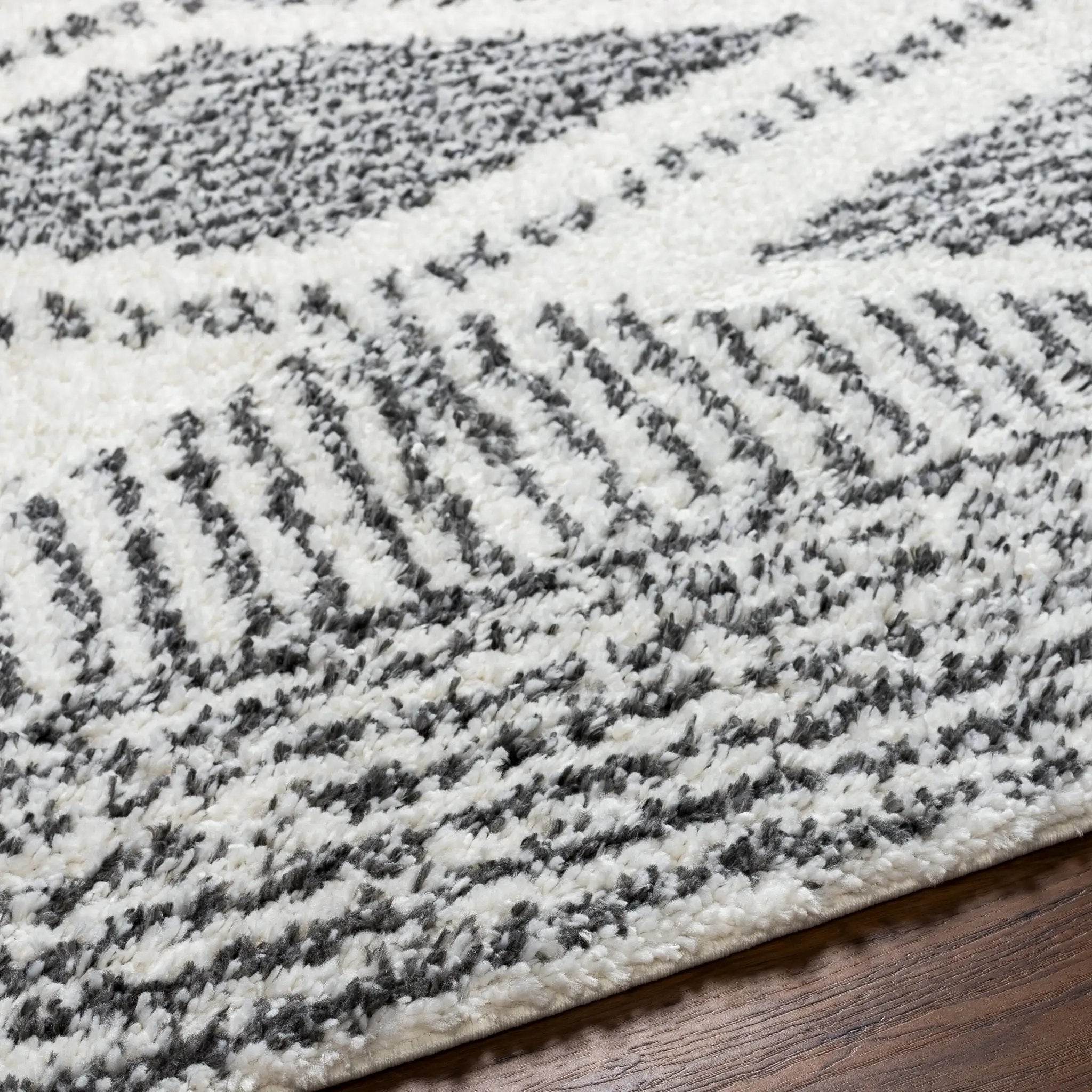 Deluxe Shag DXS-2309 Black Area Rug by LIVABLISS