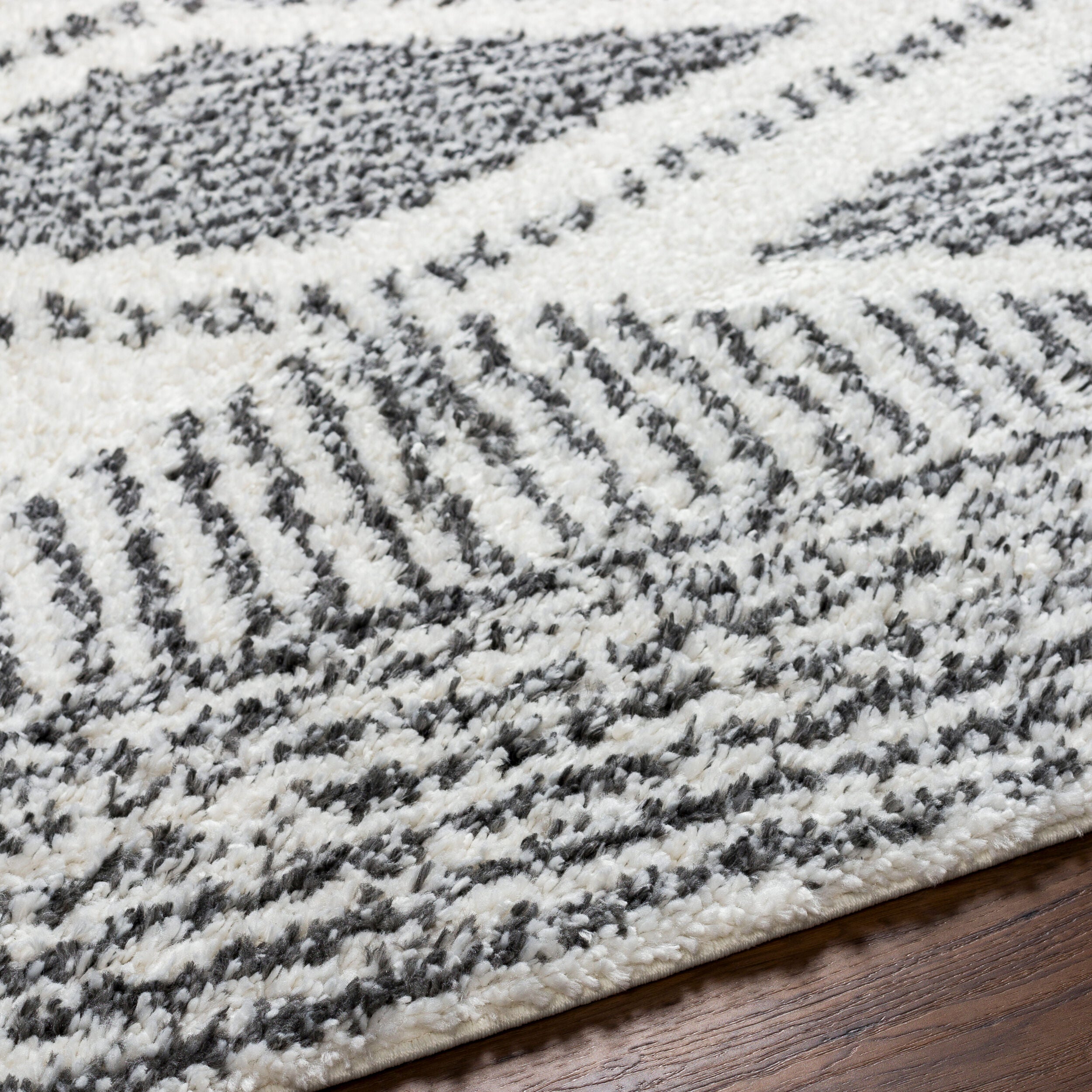 Surya Deluxe Shag DXS-2309 Black Area Rug by LIVABLISS