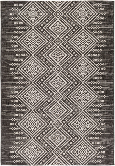 Surya Eagean EAG-2338 Black Area Rug by LIVABLISS