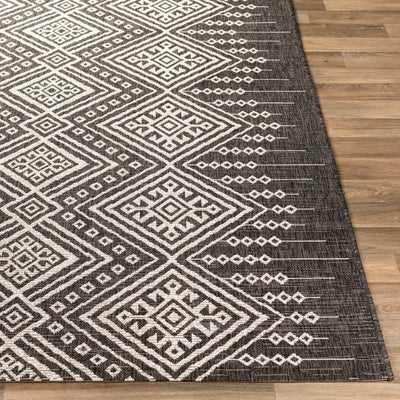 Surya Eagean EAG-2338 Black Area Rug by LIVABLISS