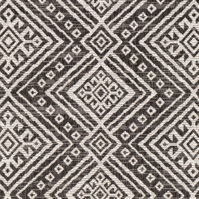 Surya Eagean EAG-2338 Black Area Rug by LIVABLISS