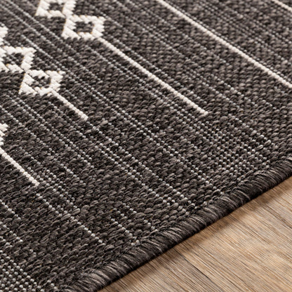 Surya Eagean EAG-2338 Black Area Rug by LIVABLISS