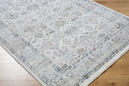 Surya Edmonton EDO-2308 Light Gray Area Rug by LIVABLISS