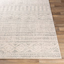 Surya Elaziz ELZ-2354 Gray Area Rug by LIVABLISS