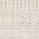 Surya Elaziz ELZ-2354 Gray Area Rug by LIVABLISS