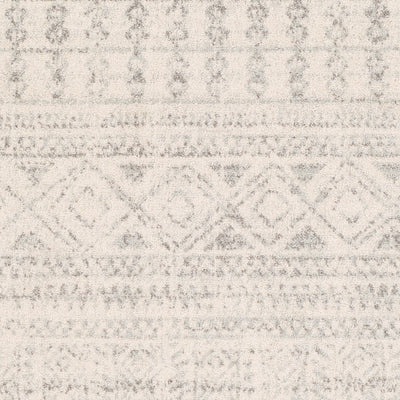 Surya Elaziz ELZ-2354 Gray Area Rug by LIVABLISS