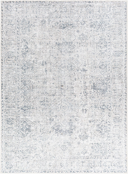 Surya Embrace EMA-2309 Denim Area Rug by LIVABLISS