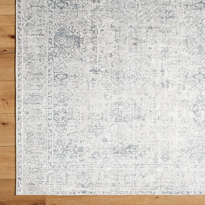 Surya Embrace EMA-2309 Denim Area Rug by LIVABLISS