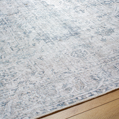 Surya Embrace EMA-2309 Denim Area Rug by LIVABLISS