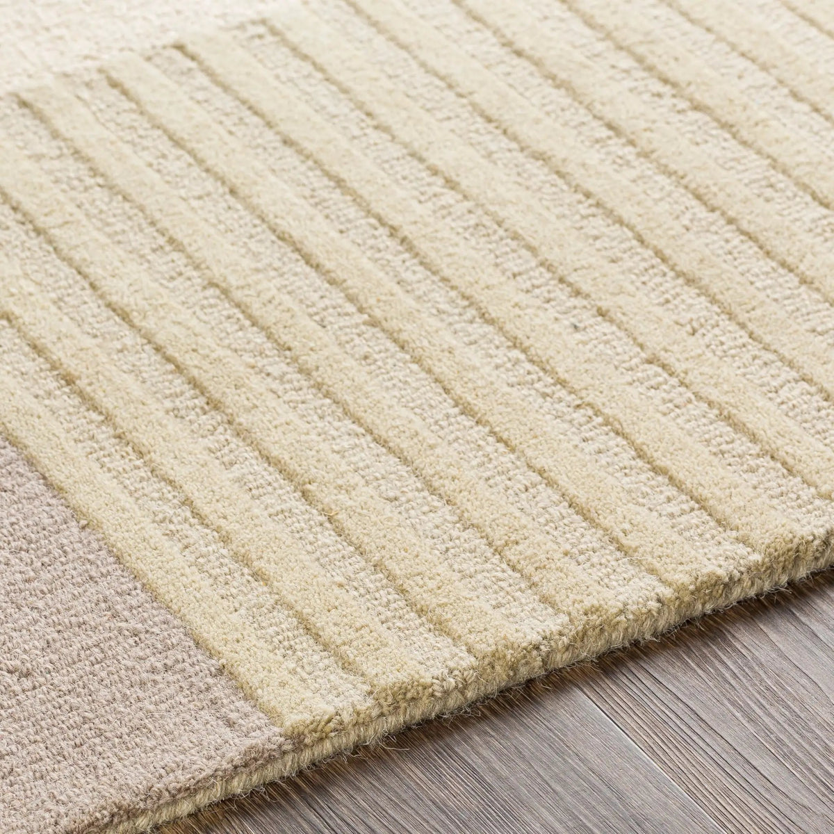 Emma EMM-2304 Light-Beige Area Rug by LIVABLISS