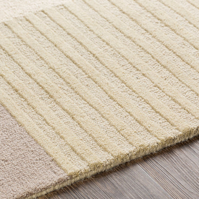 Surya Emma EMM-2304 Light Beige Area Rug by LIVABLISS