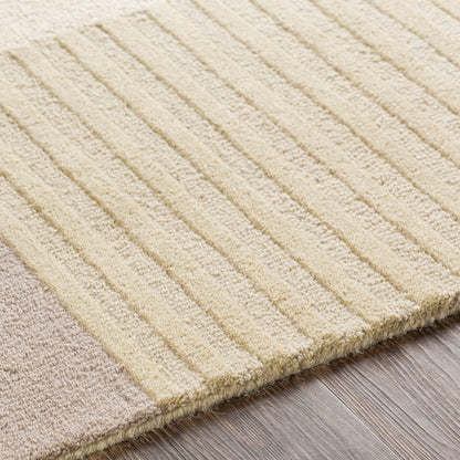 Surya Emma EMM-2304 Light Beige Area Rug by LIVABLISS