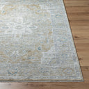 Surya Emory EMO-2304 Ivory Area Rug by LIVABLISS