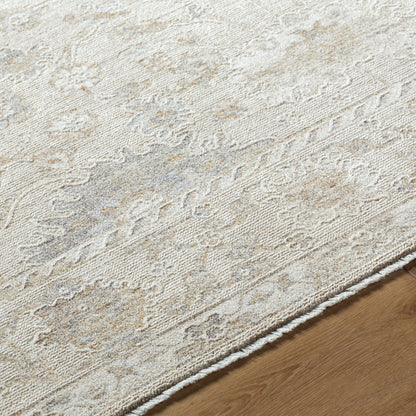 Surya Emory EMO-2307 Ivory Area Rug by LIVABLISS