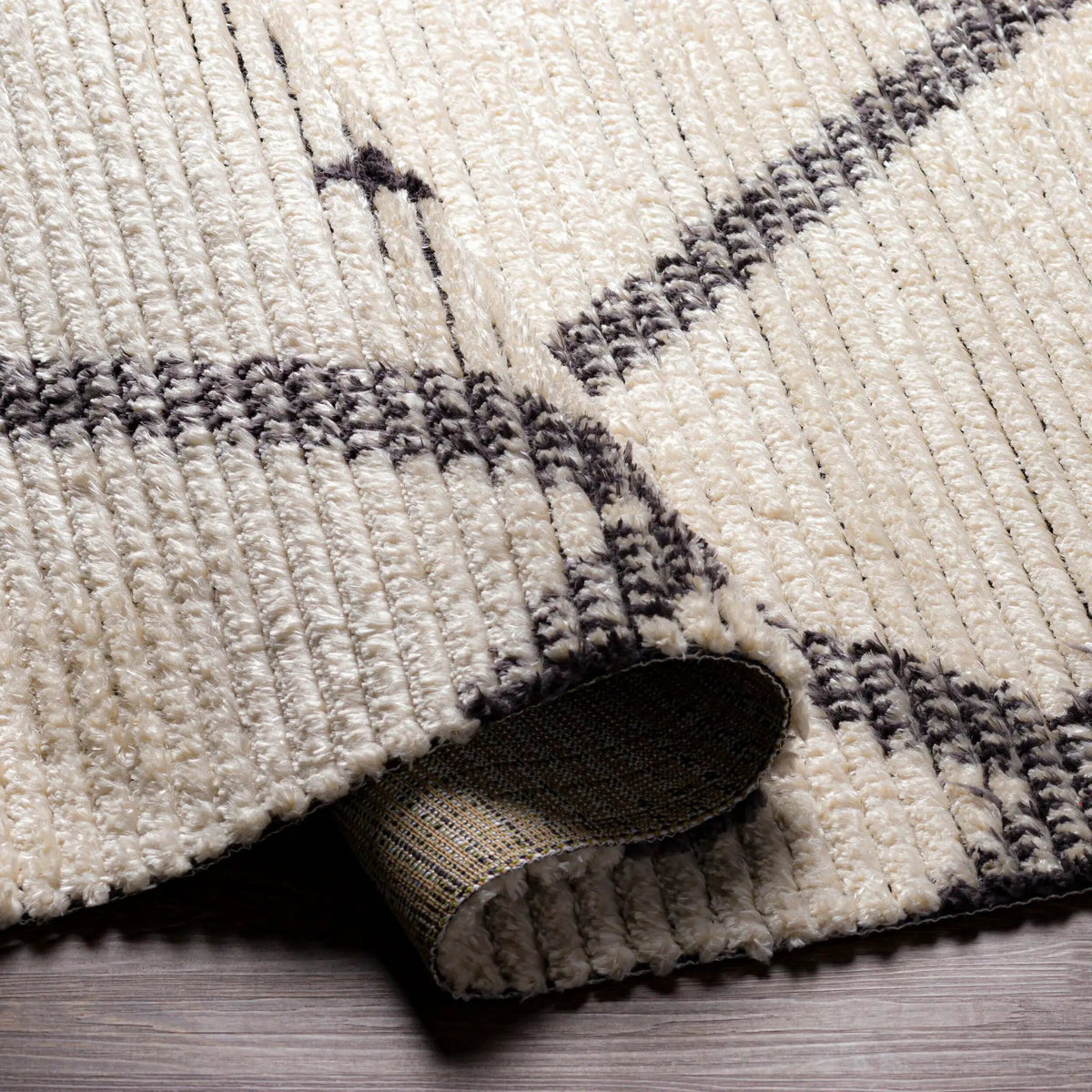 Enzo ENZ-2301 Black Area Rug by LIVABLISS