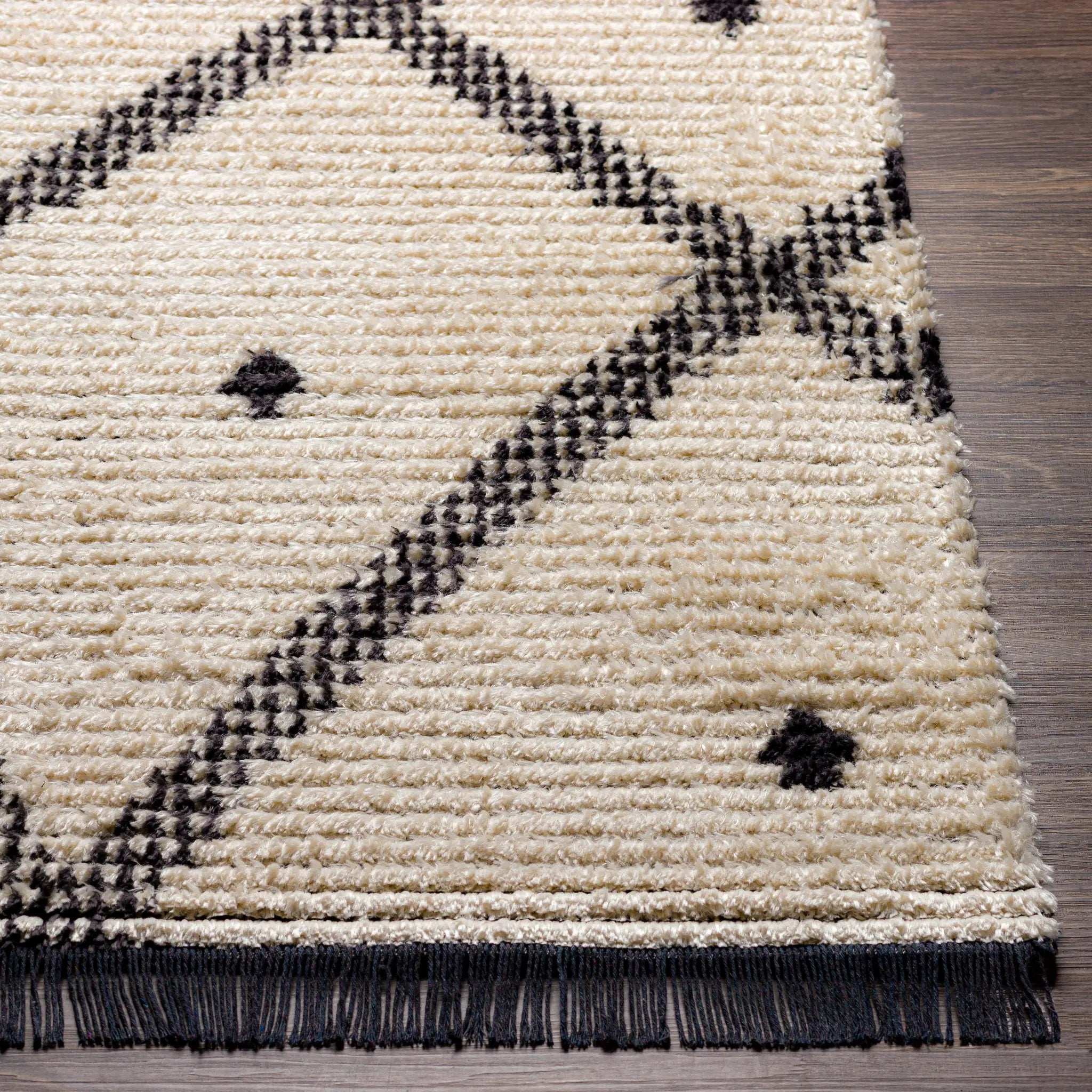 Enzo ENZ-2301 Black Area Rug by LIVABLISS