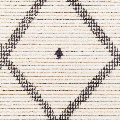 Surya Enzo ENZ-2301 Black Area Rug by LIVABLISS