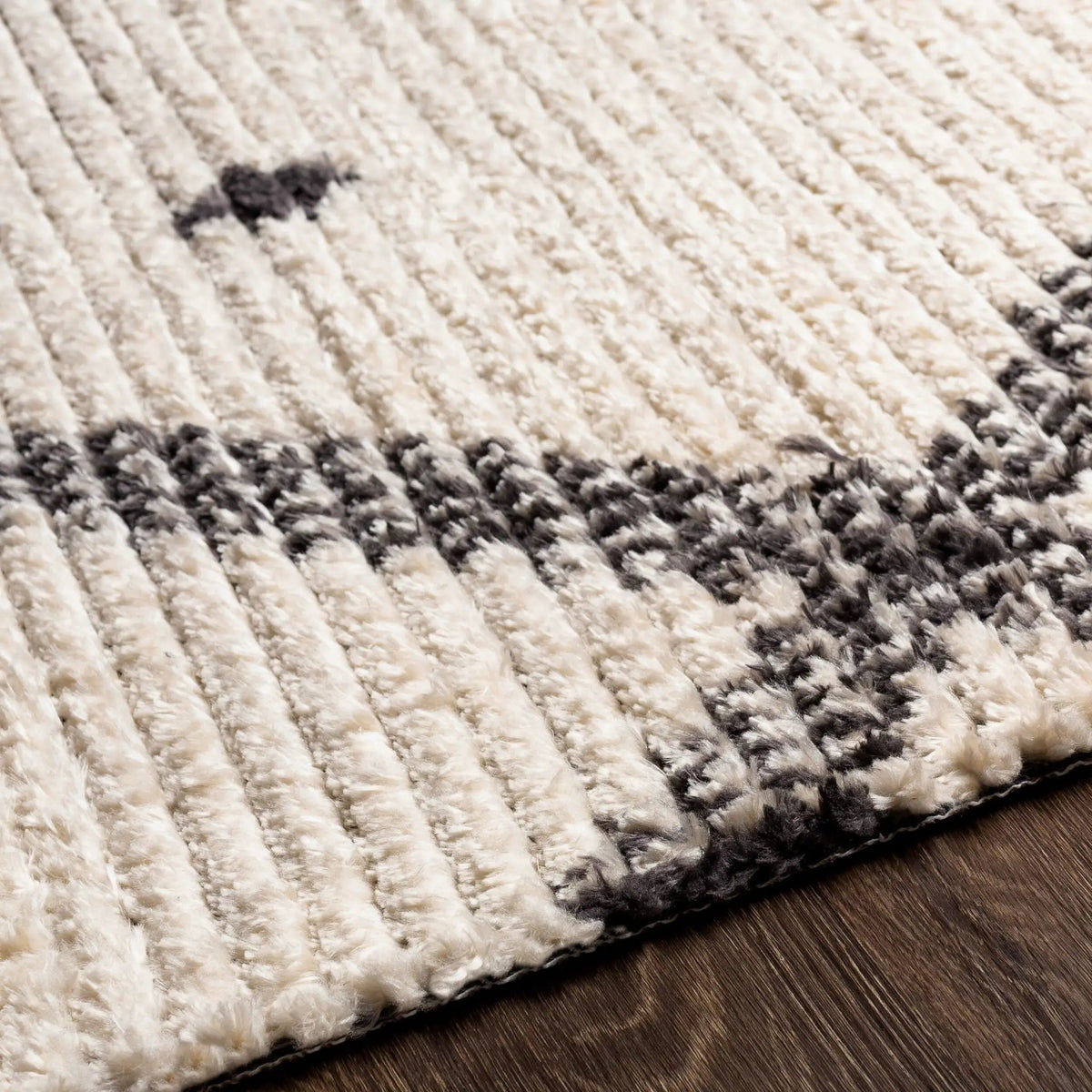 Enzo ENZ-2301 Black Area Rug by LIVABLISS