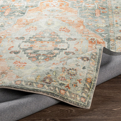 Surya Erin ERN-2306 Orange Area Rug by LIVABLISS
