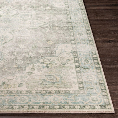 LIVABLISS Erin ERN-2309 Gray Area Rug