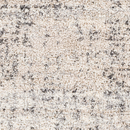 Surya Eskimo Shag ESG-2300 Black Area Rug by LIVABLISS