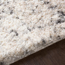 Surya Eskimo Shag ESG-2300 Black Area Rug by LIVABLISS