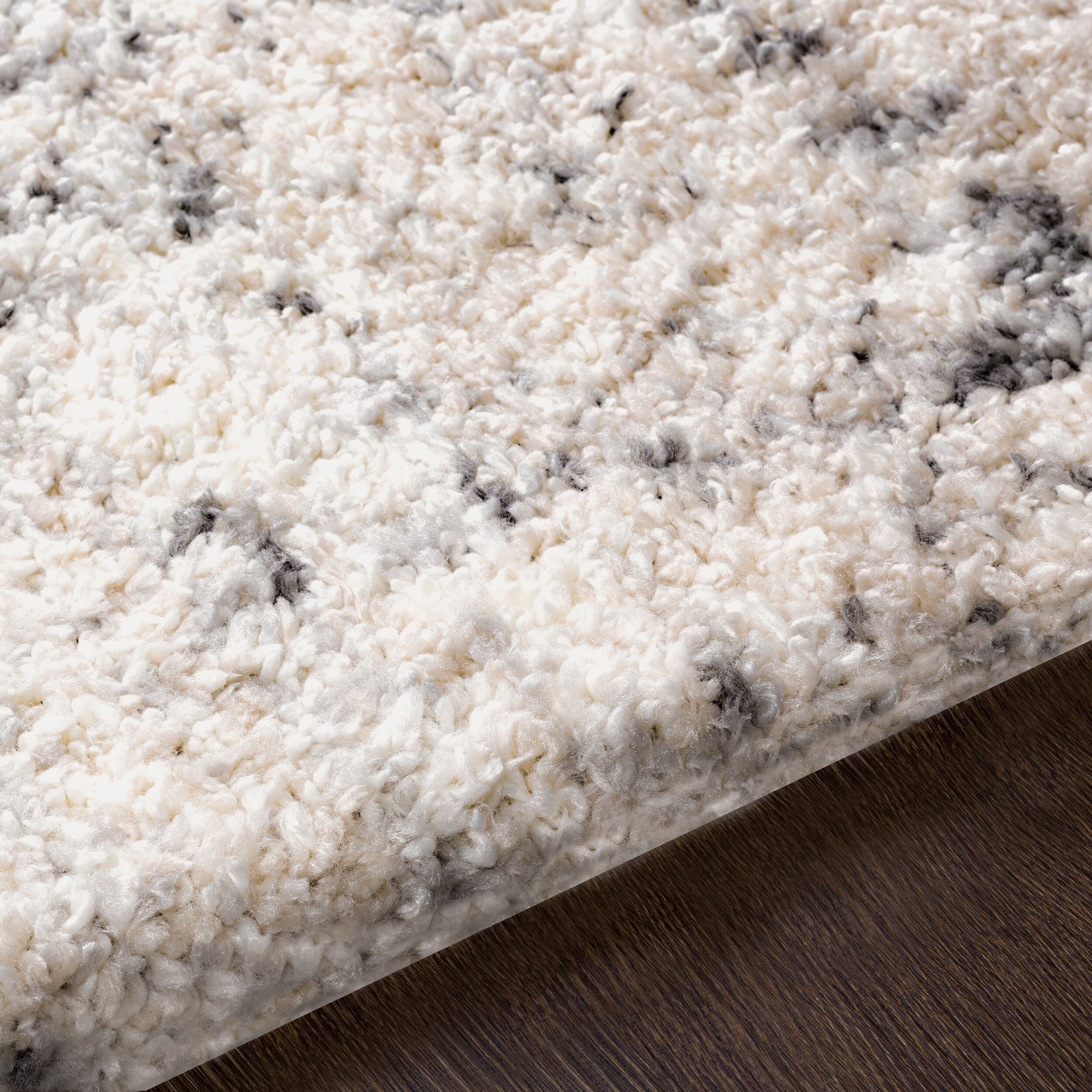 Surya Eskimo Shag ESG-2300 Black Area Rug by LIVABLISS