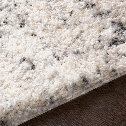 Surya Eskimo Shag ESG-2300 Black Area Rug by LIVABLISS