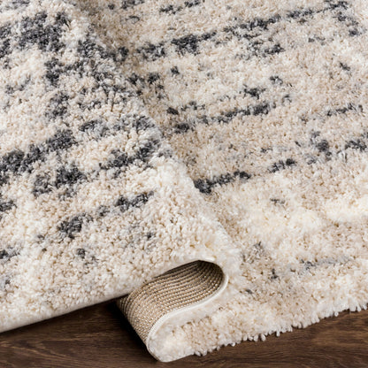 Surya Eskimo Shag ESG-2306 Light Beige Area Rug by LIVABLISS
